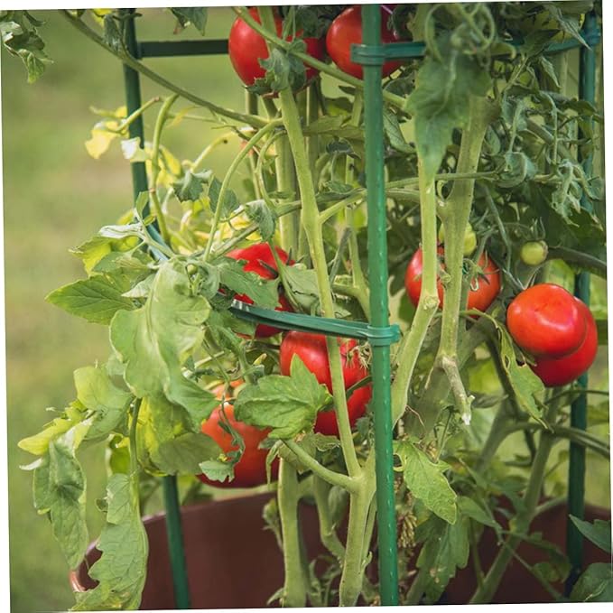 40pcs Garden Plant Climbing Support Racks Trellis for Vines and Vegetables Sturdy Material for Indoor and Outdoor Use