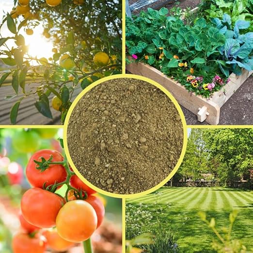 Soil Sunrise Greensand Soil Additive (5 Pounds) Special Container Gardening Additive