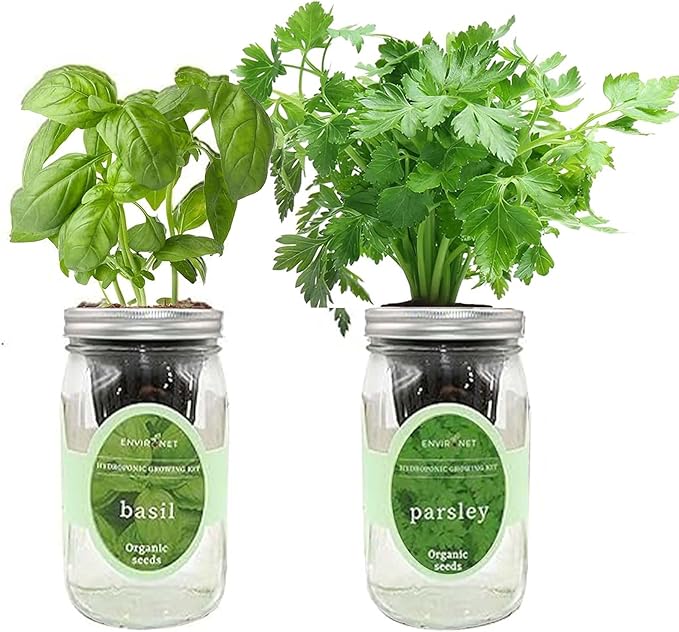 2-Pack Hydroponic Mason Jar Herb Garden Kit Indoor Herb Garden Self-Watering Starter Kit (Basil Parsley)