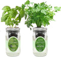 2-Pack Hydroponic Mason Jar Herb Garden Kit Indoor Herb Garden Self-Watering Starter Kit (Basil Parsley)
