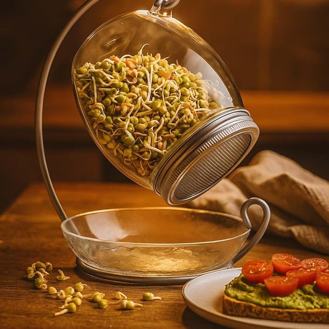 Premium Sprouting Jar Kit - Unique 30 oz Wide Mouth Sprouting Jar Stand Tray and 316 Stainless Screen Lid | Decorative Indoor Seed Sprouter and Germinator (1 Kit)