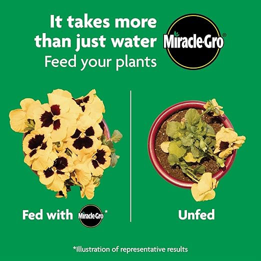 Miracle-Gro Shake 'N Feed All Purpose Plant Food - Outdoor and Indoor Plant Food for In-Ground and Containers Feeds for up to 3 Months 8 lbs. (Pack of 4)