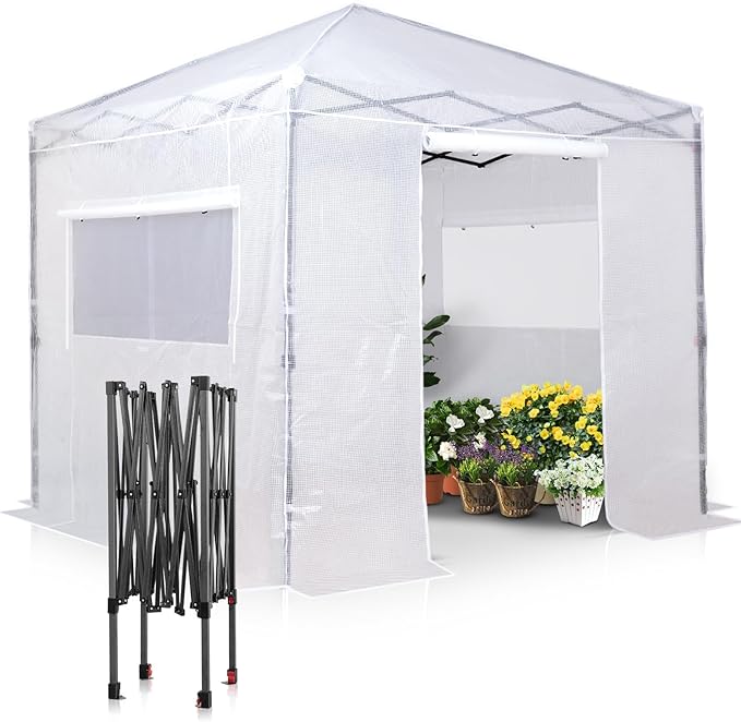 EAGLE PEAK 8x8 Portable Walk in Greenhouse Pop Up Indoor Outdoor Greenhouse Green House Kit with Zippered Roll-Up Doors and Windows PE Cover Clear/White