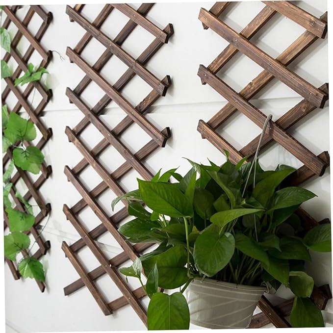 Wooden Climbing Plant Support Carbonized Lattice Trellis Garden Fence Panel for Plants