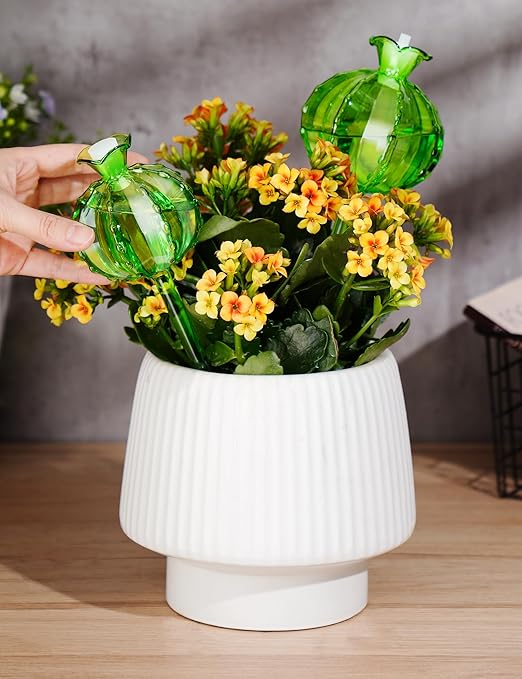 NiHome Plant Watering Globes 4-Pack (2 Small + 2 Large) Green Glass Cactus Self Watering Globe Glass Waterer for Potted Plants Automatic Mini Irrigation System Adorable Gardening Tool