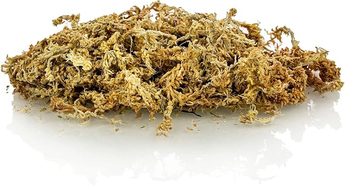 Gardenera Ixora Potting Mix - Promote Strong Roots and Abundant Flowers with Our Premium Blend - 4 Quart