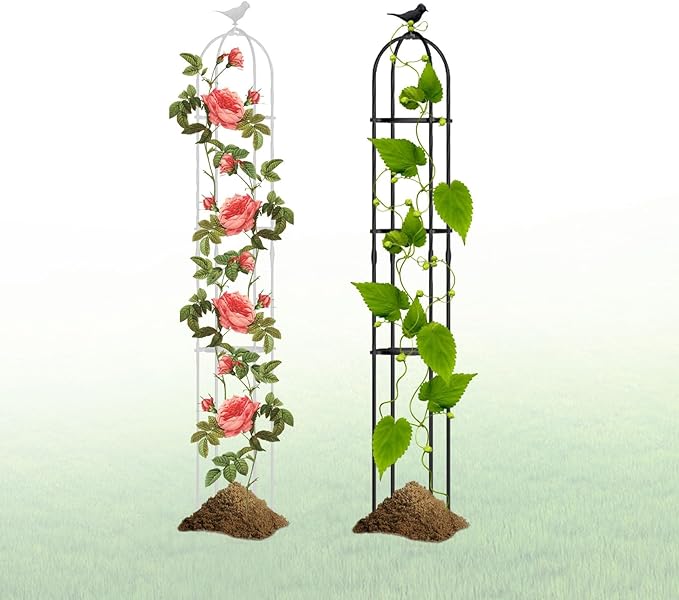 1pc Φ8.3-13.8in Garden Obelisk Trellis for Climbing Plants Metal Garden Trellis Tomato Cage High 47/59/63/71/74.8in for Climbing Vine Birdcage Shape ( Color : Black  Size : 31x160cm(12.2x63in) )