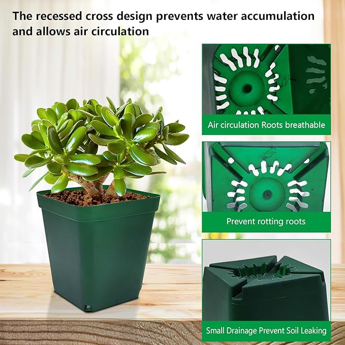 Square Nursery Succulent Pots 4 Inches 60 Pcs Deep Flower Plant Nursery Seedling Grow Pots Plastic with Drainage (Green 4Inches 60Pcs)