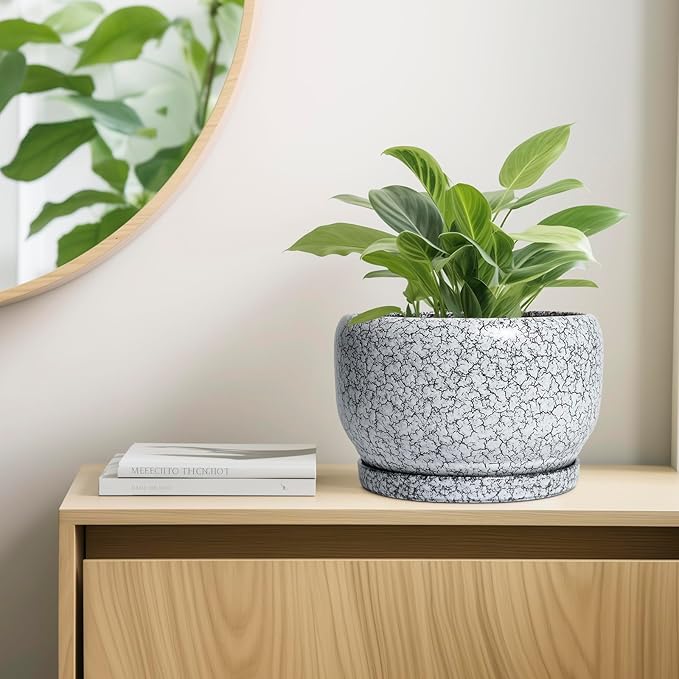 SQOWL Ceramic Planters - 10 Inch Ceramic Flower Pot with Drainage Hole and Saucer Decorative Plant Pot Indoor Round Large Planter Outdoor Bathroom Decor Gifts for Plant Lovers Black and White
