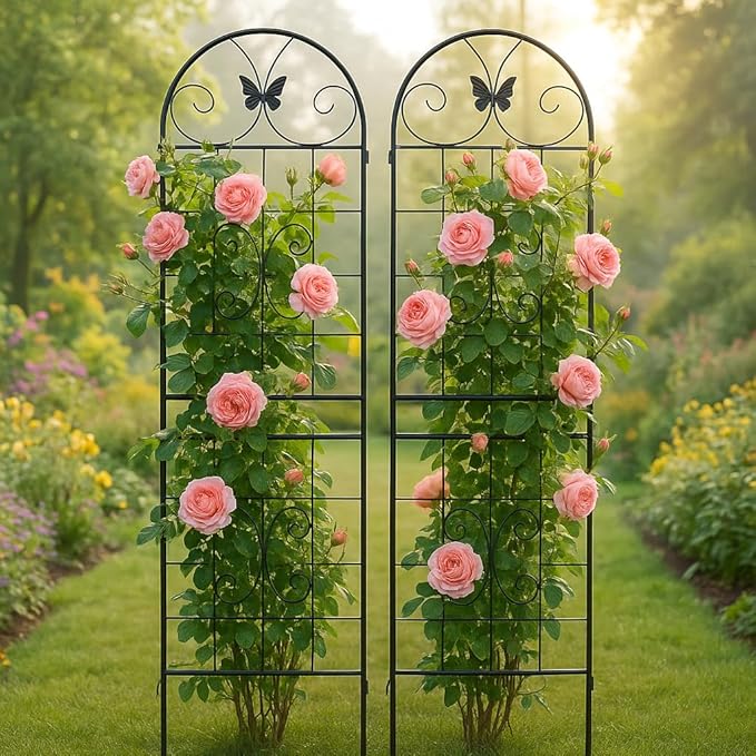 LifeSky Metal Garden Trellis for Climbing Plants: 2 Pack Outdoor Plant Support Structure - Rustic Wrought Iron Design with Butterfly Accents for Urban Balcony Gardening &amp Vertical Vine Training