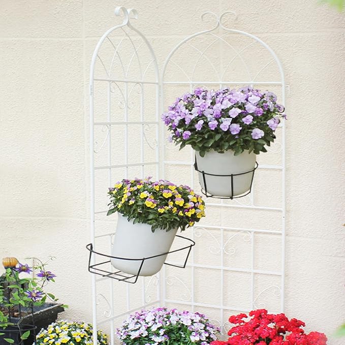 Metal Garden Trellis Rustproof Arched Fence for Climbing Plants Outdoor Flowers Vegetables Elegant Flower Trellis for Garden Decor Wall Brackets Black &amp White 71 x 19.7 (Cream White 4 Pack