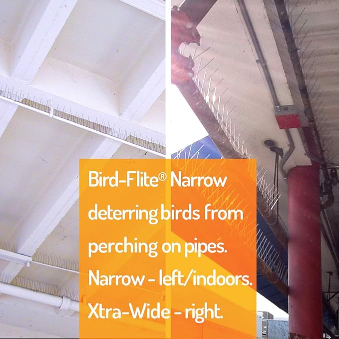 Bird Barrier Bird-Flite Stainless Steel Bird Spikes Metal Pins Strips with Plastic Base Clear Glue Adhesive Included - Narrow (2.5in) 100 Ft. Length