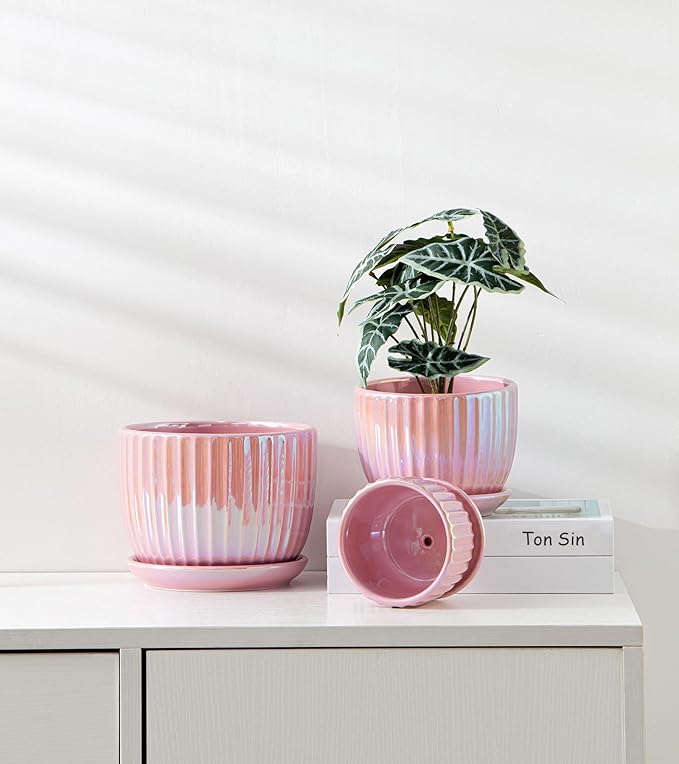 Ton Sin Pink Gold Ceramic Flower Pots 4+5+6 Inch Small Glazed Succulent Planters with Drainage HoleModern Indoor Decorative Plant Pots Set of 3Garden Pots with Saucer