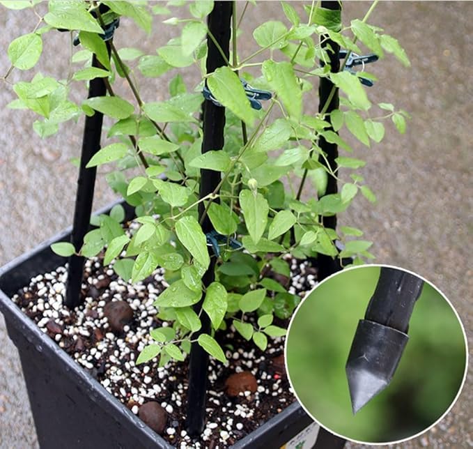 Garden Obelisk Trellis For Potted Plants 4.9ft Or 5.9ftGarden Trellis For Potted Plants Indoor Plant Support For Vines &amp Flowers Rustproof Coated Tomato Cage Tower (1 Pack)(Size:1.5m(59inches))