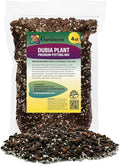 Gardenera Monstera Dubia Soil Blend - Perfect Formulation for Optimal Growth and Development - 4 Quart