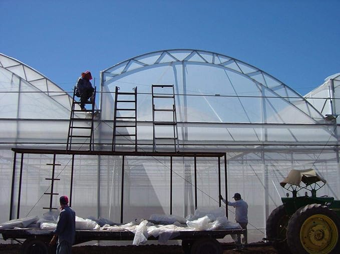 GT4 6 Mil Uv Treated Standard Clear Greenhouse Film 24' Wide X 100' Long