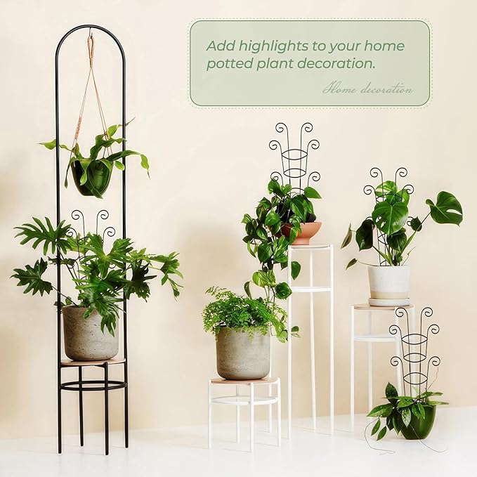 4 Pack 30 Inch Tall Metal Plant Trellis for Climbing Plants Indoor - Rustproof Garden Trellis for Potted Houseplants Sturdy Support for Ivy Pothos Monstera Hoya &amp Flower Vines