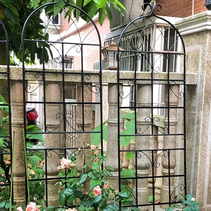 2 Pack Metal Garden Trellis 71 Inch Tall x 19.7 Inch Wide Black Rust Resistant Plant Support for Climbing Vegetables and Flowers (2 Pack-Black)