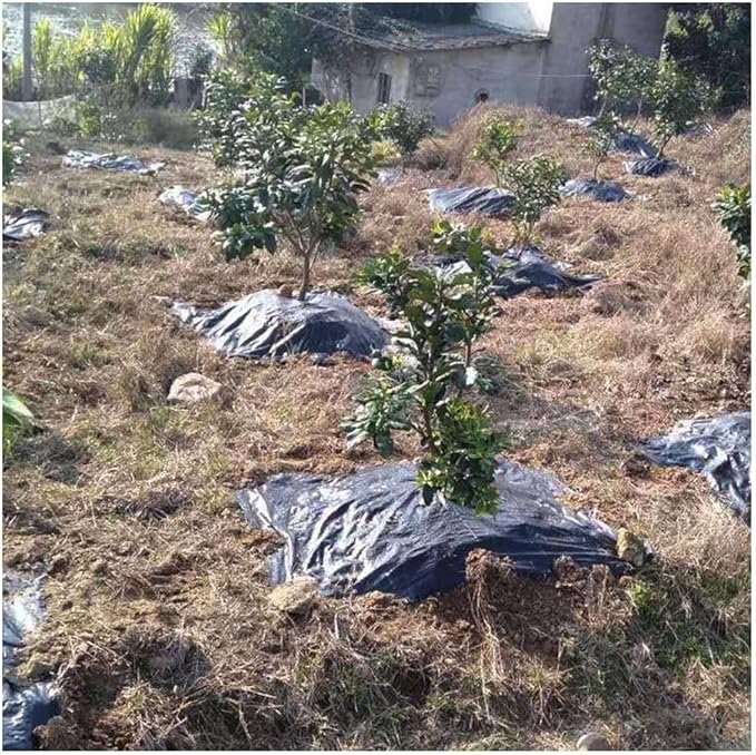 CHALKE Orchard Agricultural Weed Cover Durable Weeding Cloth Black Pe Gardening Mulch Cloth Mulch Special for Apple Peach Fruit Trees 10/50pcs (Color : Black 1x1m 50pcs)