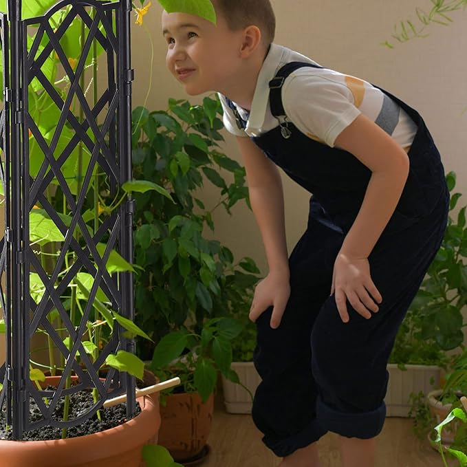 Plant Climbing Support Garden Trellis Rack Trellis Decorative Garden Trellis Metal Support Wire Climbing Plants Vines Flowers Rack for Climbing Vines Flower(#1)
