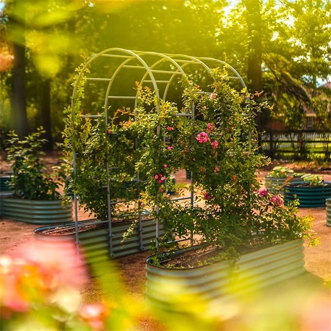 Vego Garden Modular Arched Trellis System for 2.0‘ x 4.0' 10 in 1 Garden Bed for Climbing Plants Like Cucumber Beans Tomatoes &amp Vines (Garden Beds Not Included)