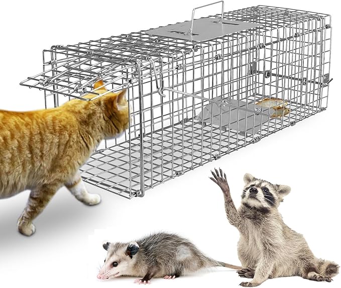 KOCASO Live Animal Cage Trap Collapsible Humane Live Animal Cage Trap Galvanized Steel Humane Live Trap Cage for RabbitStray Cat Groundhog RaccoonSquirrelChipmunkMoleSkunkGopher24x8x8