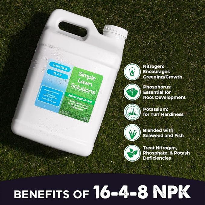 Advanced 16-4-8 Lawn Fertilizer - Liquid Lawn Food Spring &amp Summer Concentrated Spray - Any Grass Type- Fish and Seaweed Kelp- Balanced NPK - Simple Lawn Solutions (2.5 Gallons)