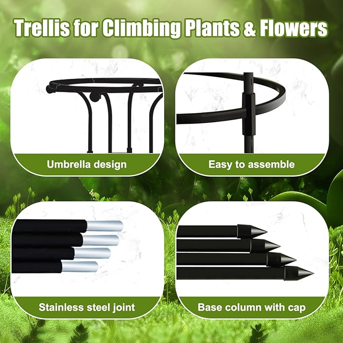 Garden Trellis for Climbing Plants 61 Inch Umbrella Shape Rose Trellis Rustproof Metal Vertical Garden Obelisk for Outdoor