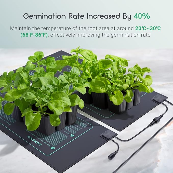 LUXBIRD 2 Pack Seedling Heat Mats with Digital Thermostat Controller 10 x 20.75 30W for Seed Starting Germination Hydroponics Brewing Breeding Greenhouses (LB-HT02)