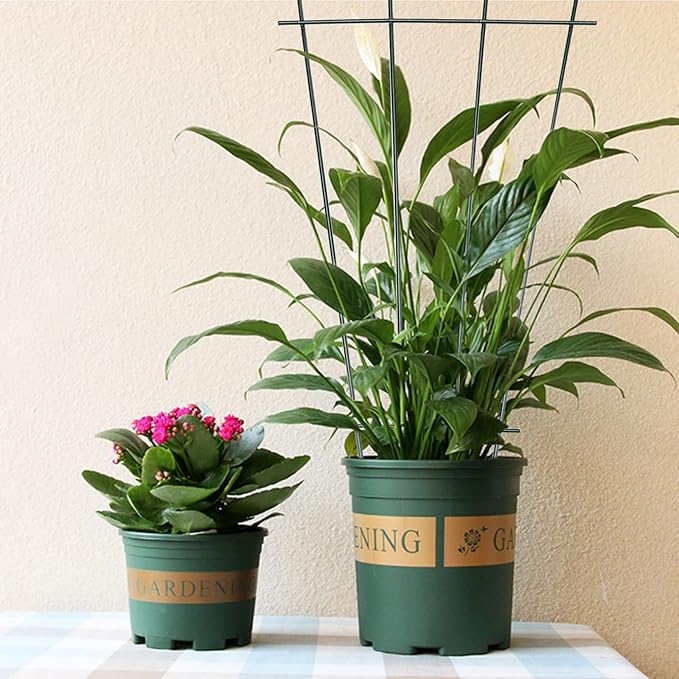 Flueyer 4 Pcs Plant Trellis for Climbing Plants Indoor Green Coated Fan Pot Trellis Metal Flower Support Garden Trellis Frames for Indoor Outdoor Vines Flower Vegetable