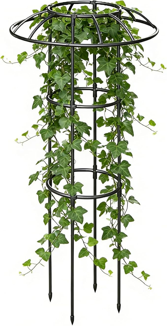 Garden Trellis - Stable Decorative Climbing Plants Support - Support Cage Umbrella Trellis - for Vine Rose Clematis Vegetable Dragon Fruit Cucumber Hydrangeas Jasmine