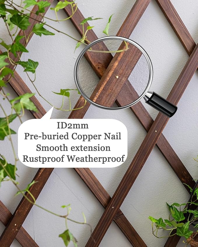 LTSRLL Expanding Wooden Trellis 44cm X 23cm ~ 300cm X 120cm Riveted Garden Trellis Fence Panels Vegetable Fruit Vines Support Structure for Terrace Yard Wall Decoration(H44)