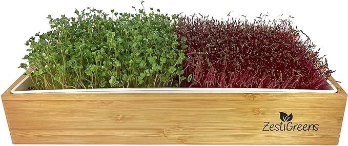 ZESTIGREENS Self Watering Microgreens Growing Kit. Hands Down The Easiest Way to Grow Microgreens. Includes Tray Seeds Mats and Bamboo Surround. Great Gift for Gardeners