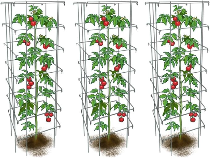 Happy Trees Large Heavy Duty Tomato Cages - Support Trellis for Climbing Vegetables and Plants - 18 x 18 x 58 - Thick Gauge Galvanized Steel Collapsible Easy Storage 3-Pack Made in USA