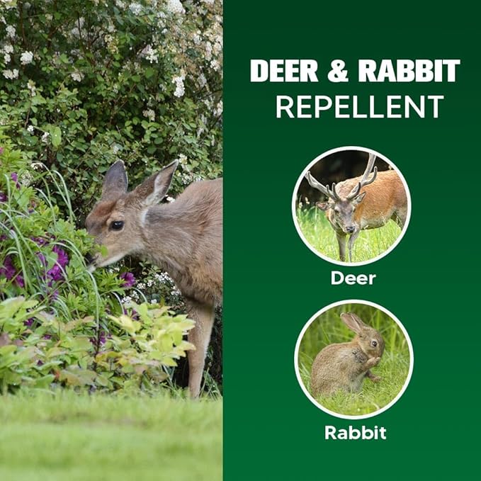 Deer Repellent Rabbit Repellent Outdoor Deer Deterrent for Garden &amp Yard Bunny Repellent for Plants Keep Deer Away from Flowers Tree Safe for Human &amp Pets-8 Balls