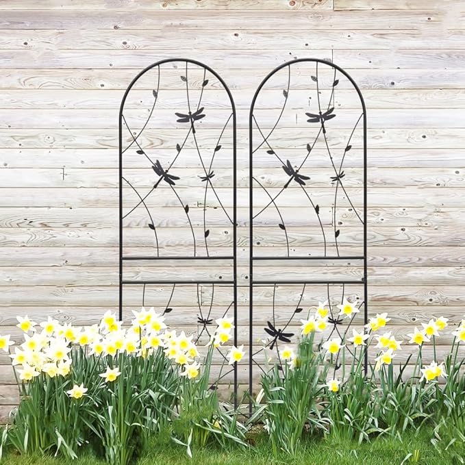 Sturdy Metal Garden Trellis for Climbing Plants – Rust-Resistant Outdoor Flower Support with Decorative Dragonfly Design (2 Pack-H71'')