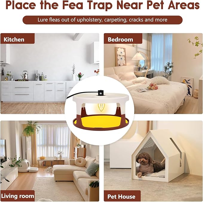 Flea Traps for Inside Your Home 2 Pack Indoor Flea Light Electric Bed Bug Insect Killer with 8 Sticky Pads &amp 8 Light Bulb Replacement Natural Pest Control w/Glue Discs Refills Safe for Kid Pet