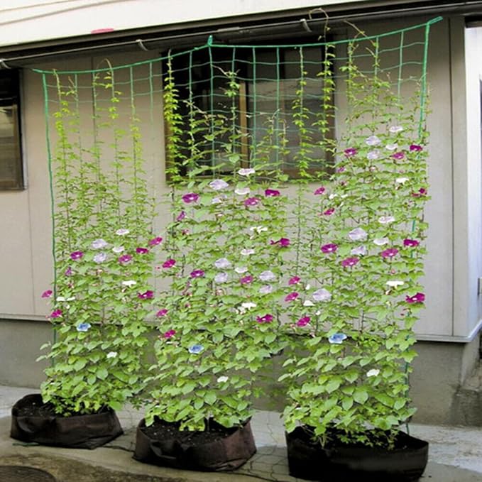 Plant Trellis Netting Garden Trellis Netting for Climbing Plants Mesh Plant Grow Supports for Vegetables Clematis CucumberTomatoes and Vine Plants Green C