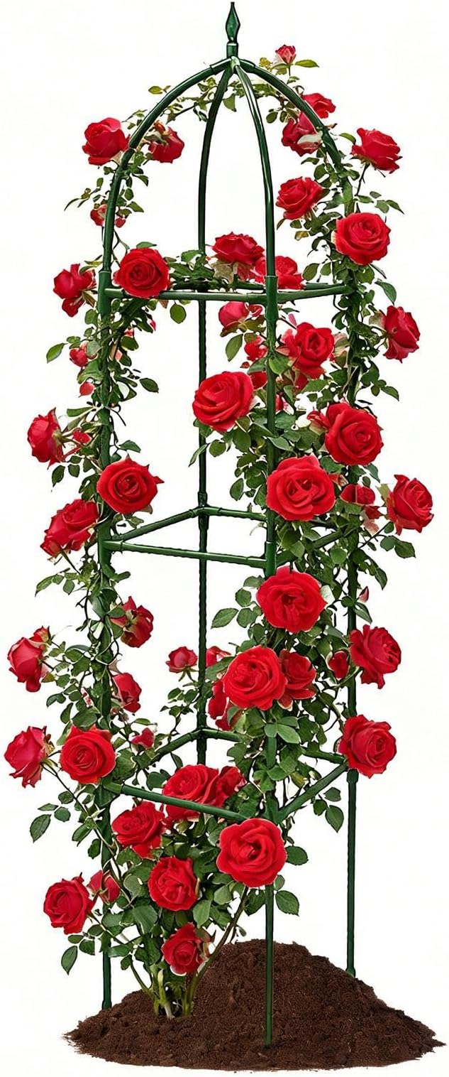 Garden Trellis - Adjustable Vertical Support Stake | Flowers Steel Frame Vertical Stand Frame Holder All Weather Climbing Frames for Vines Flowers Pea Bean Tomato Clematis Window Sill Balcony