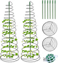 2 Sets Spiral Plant Support Stakes Indoor Outdoor Adjustable Metal Garden Trellis for Climbing Plants Support for Potted Vegetables Flowers Peas