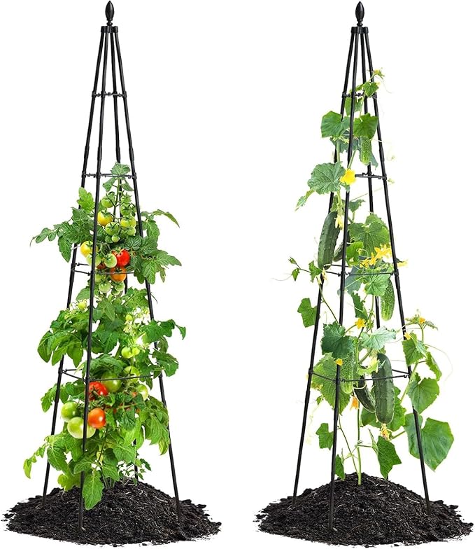 Cucumber Trellis - Foldable Metal Climbing Support Rust-Resistant Outdoor Plant Frame Vertical Growing Structure | Tomato Pea Bean Vegetable Flower Holder for Garden Patio Yard Indoor Greenhouse