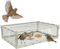 Universal Sparrow Trap Cage – Birds Trap Cage with Escape-Proof Design One Way Bird Catcher Traps for Starlings Quail Cardinals and So OnMade from Rust-Resistant Metal for Long-Lasting Use