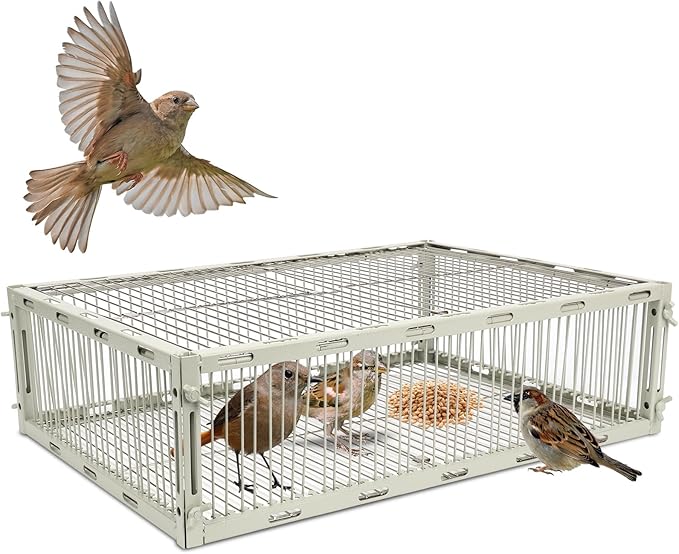 Universal Sparrow Trap Cage – Birds Trap Cage with Escape-Proof Design One Way Bird Catcher Traps for Starlings Quail Cardinals and So OnMade from Rust-Resistant Metal for Long-Lasting Use
