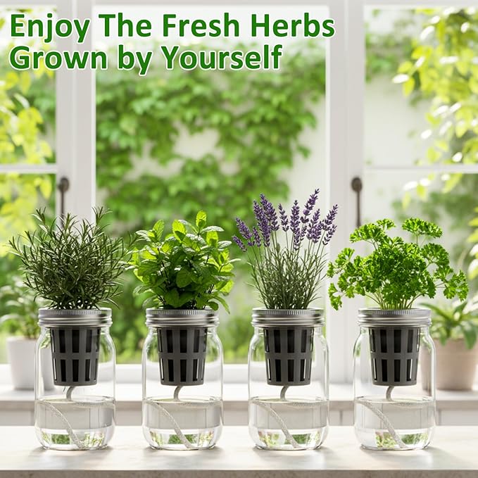 12 Set Hydroponic Garden Mason Jar Kit Self Watering Herb Hydroponic Planter Starter Kit with Net Pot Garden Flower Plant Growing Gift for Indoor Herbs Windowsill Gardening