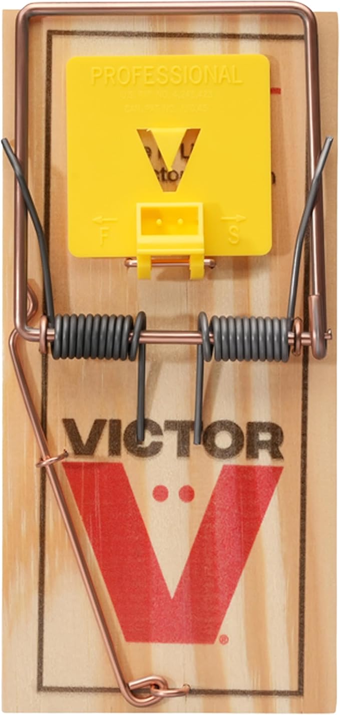 Victor M205 Wide Pedal Humane Snap Rat Traps Indoor for Home Plastic Pedal Sustainably Sourced FSC Wood - 12 Wooden Traps
