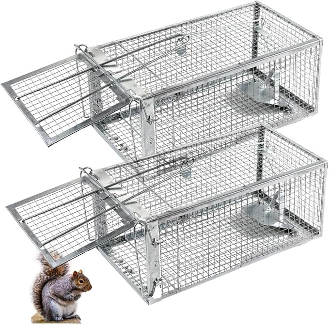 Humane Squirrel Trap - 2 Pack Rat Trap that Works 12.5x6.5x5.5 Small Rodent Chipmunk Trap Cages | Catch and Release | Reusable and Durable | No Kill Animal Trap | Indoor for Home and Outdoors