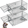 Humane Squirrel Trap - 2 Pack Rat Trap that Works 12.5x6.5x5.5 Small Rodent Chipmunk Trap Cages | Catch and Release | Reusable and Durable | No Kill Animal Trap | Indoor for Home and Outdoors