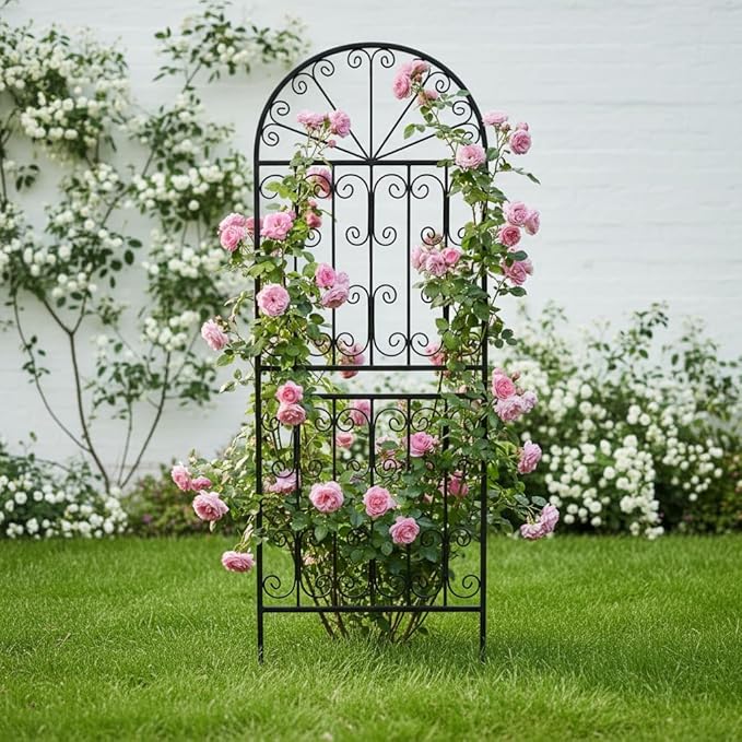 SCENDOR 70.8 H x 24.5 W Decorative Metal Garden Trellis - Rustproof Black Iron Arched Fence for Climbing Roses Clematis and Vines - Sturdy Plant Support for Patio Lawn and Backyard 1 Pack