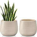 Ceramic Plant Pots 6 Inch Set of 2 Flower Plants Pot with Drainage Holes White Planter Garden Pot for Succulent Cactus Home Decoration Gift Indoor Outdoor