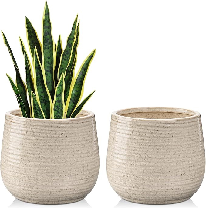 Ceramic Plant Pots 6 Inch Set of 2 Flower Plants Pot with Drainage Holes White Planter Garden Pot for Succulent Cactus Home Decoration Gift Indoor Outdoor